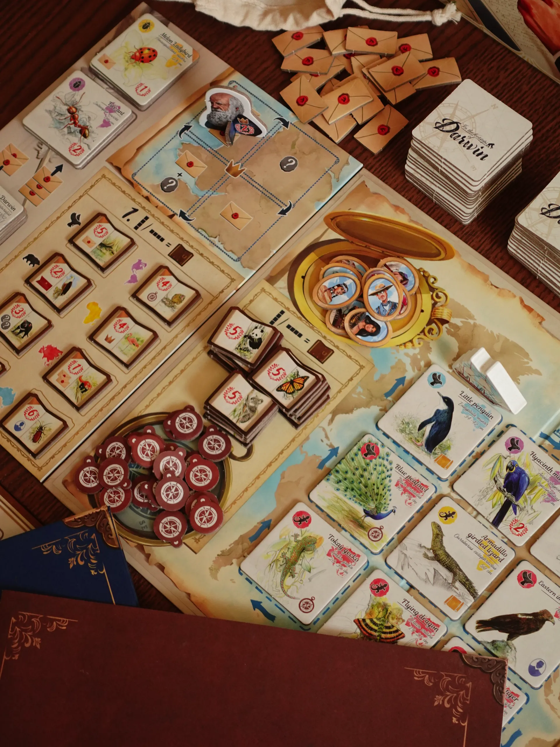 Game Overview: In the Footsteps of Darwin Review