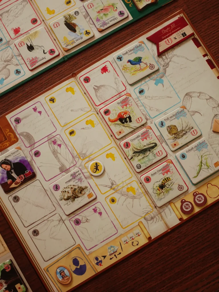 In the footsteps of darwin - player boards