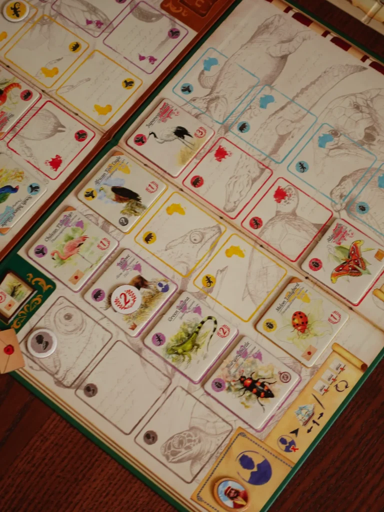 In the footsteps of darwin - player boards
