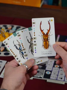 stag cards